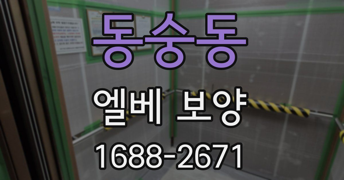 동숭동 엘베 보양