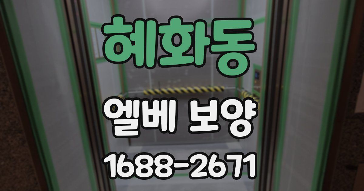 혜화동 엘베 보양