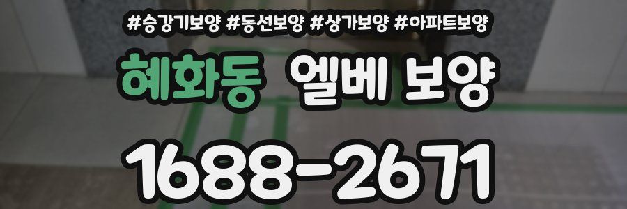 혜화동 엘베 보양
