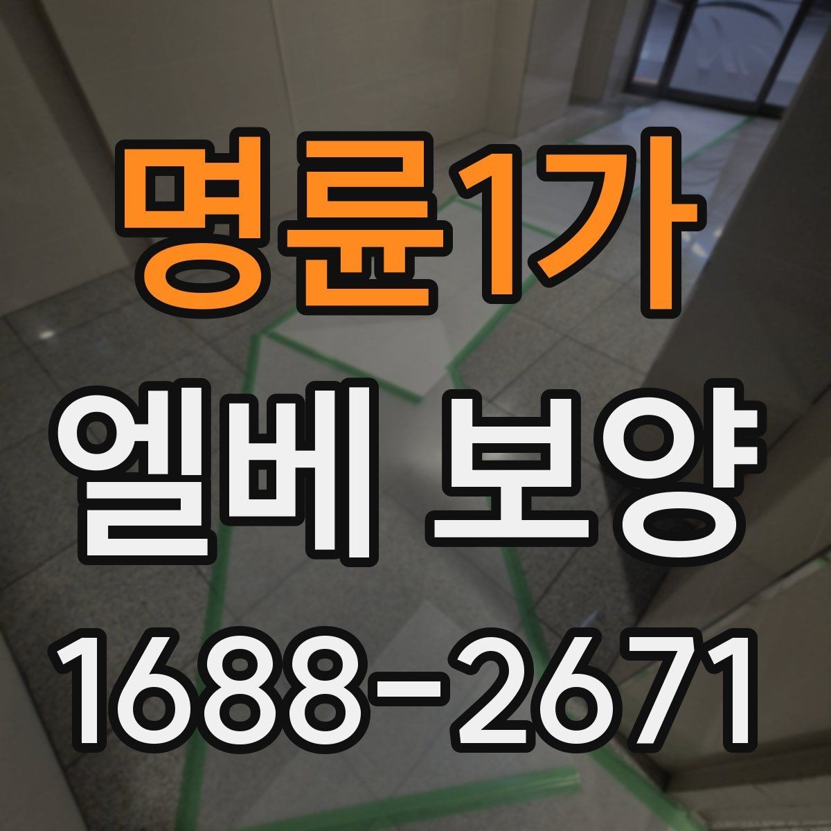 명륜1가 엘베 보양 보양 사진 기록의 이유