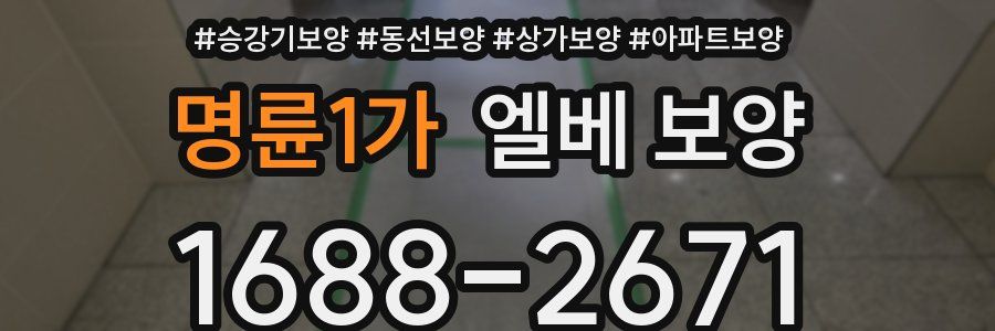 명륜1가 엘베 보양