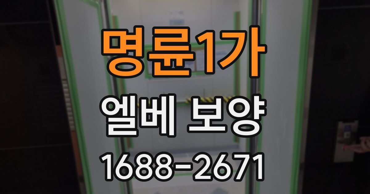 명륜1가 엘베 보양