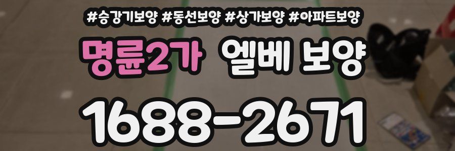 명륜2가 엘베 보양