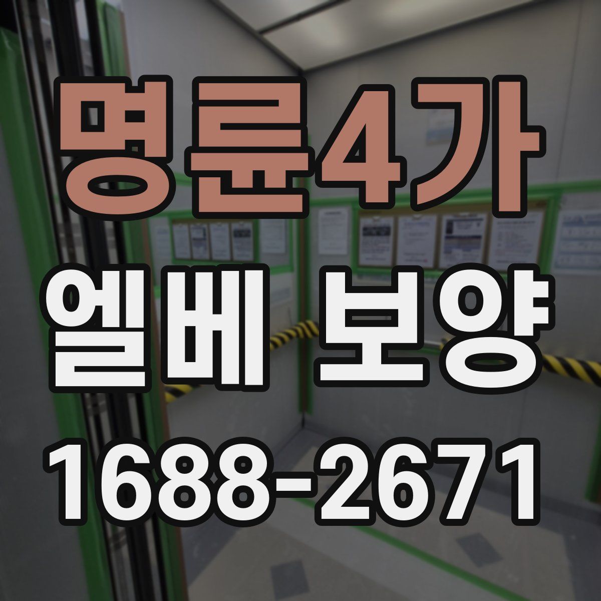 명륜4가 엘베 보양