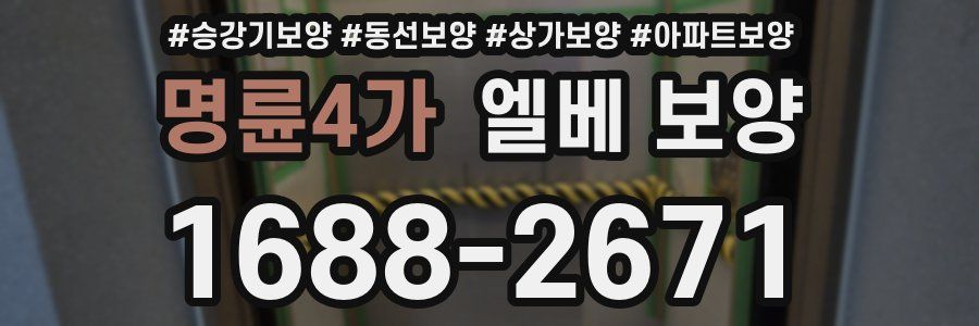 명륜4가 엘베 보양