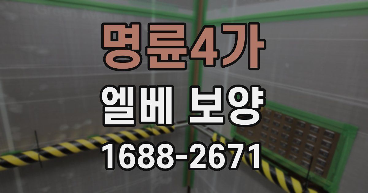 명륜4가 엘베 보양