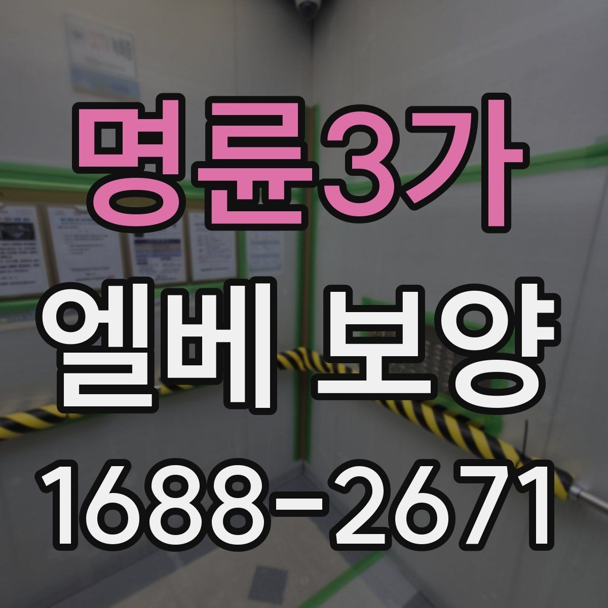 명륜3가 엘베 보양 사진 기록이 필요한 순간과 관리 방법