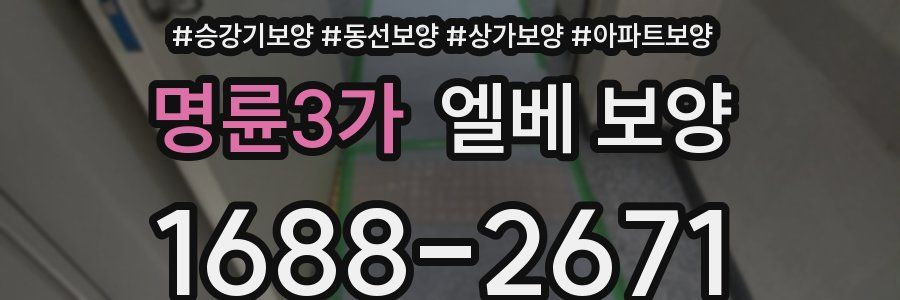 명륜3가 엘베 보양