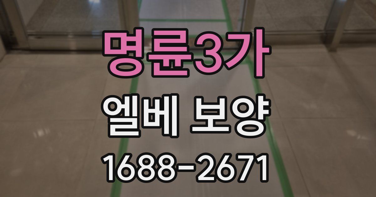 명륜3가 엘베 보양