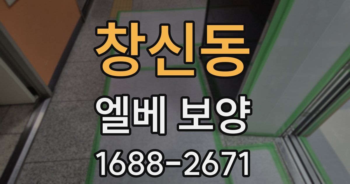창신동 엘베 보양