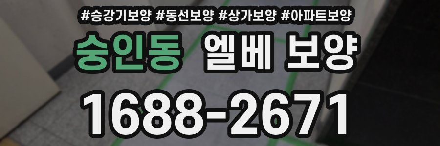 숭인동 엘베 보양