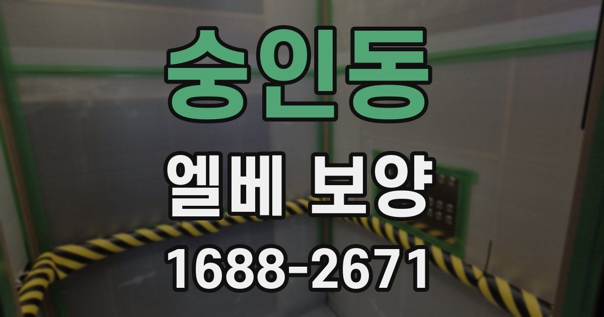 숭인동 엘베 보양