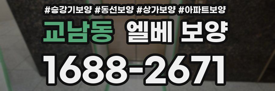 교남동 엘베 보양