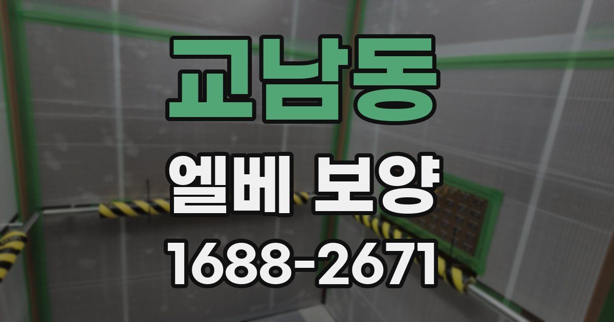 교남동 엘베 보양
