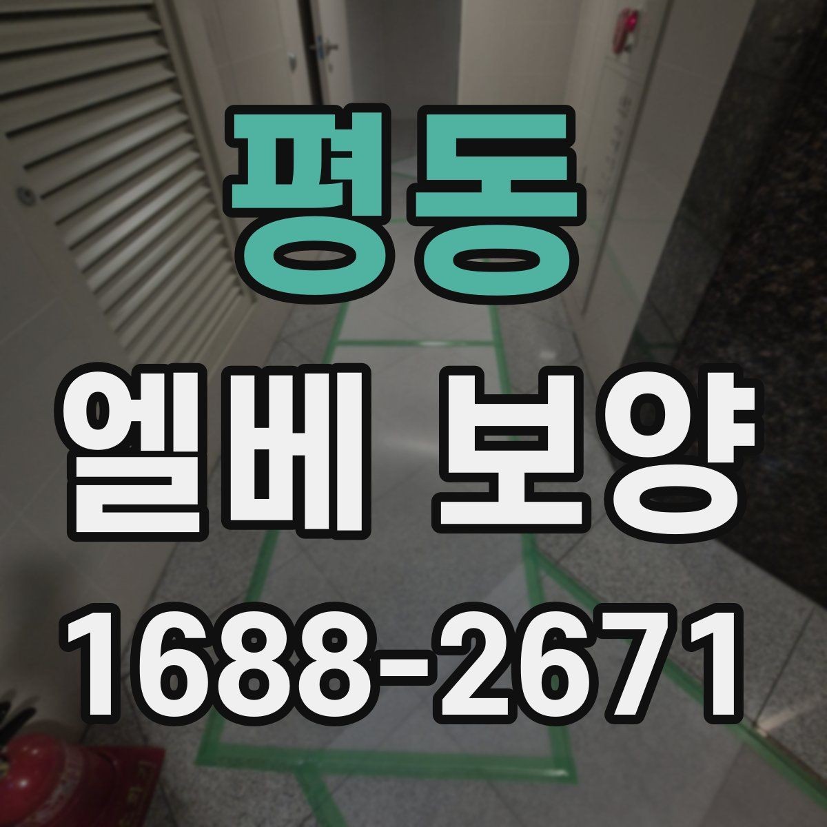 평동 엘베 보양 공용부 이동이 많은 아파트 대응법