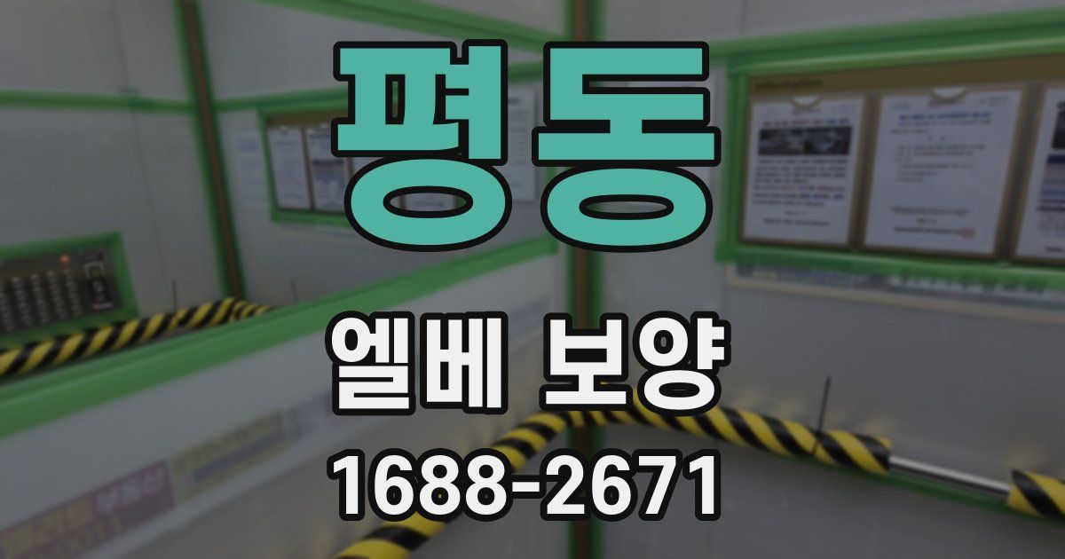 평동 엘베 보양