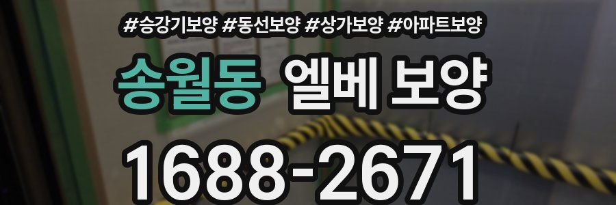 송월동 엘베 보양