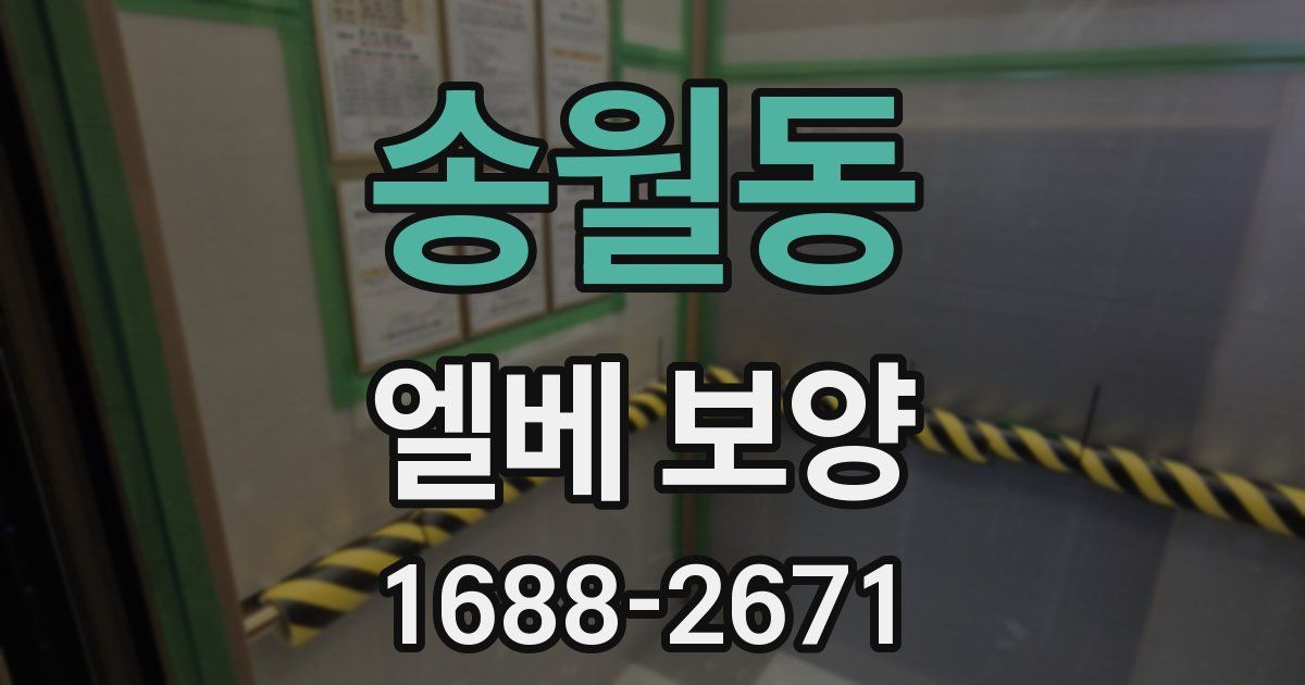 송월동 엘베 보양