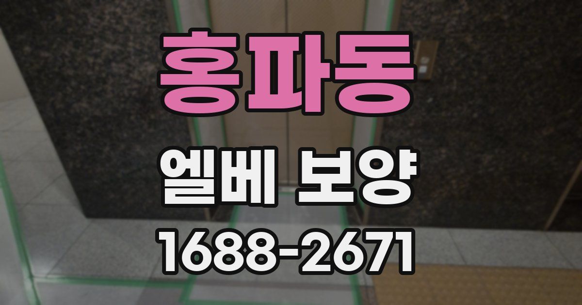 홍파동 엘베 보양
