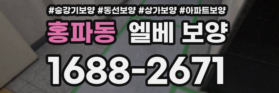 홍파동 엘베 보양