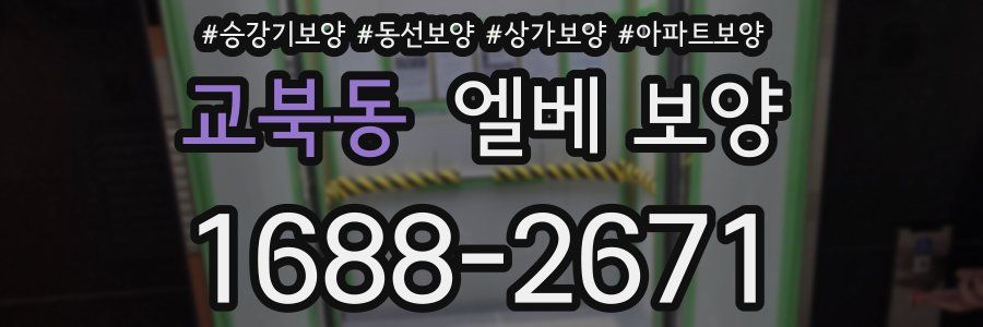 교북동 엘베 보양