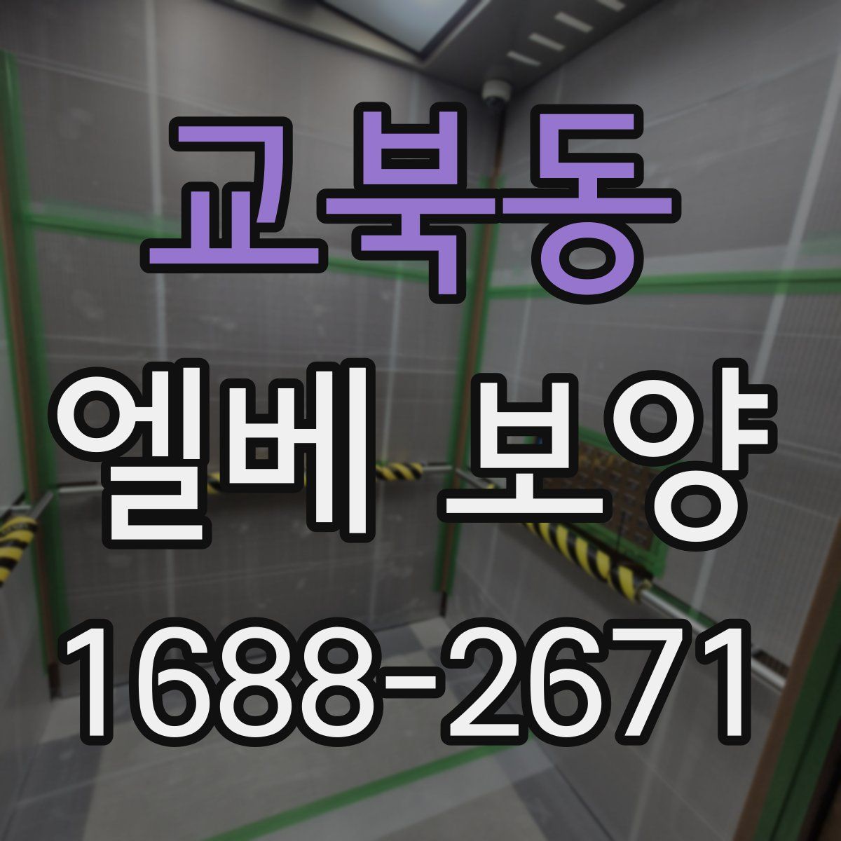 교북동 엘베 보양