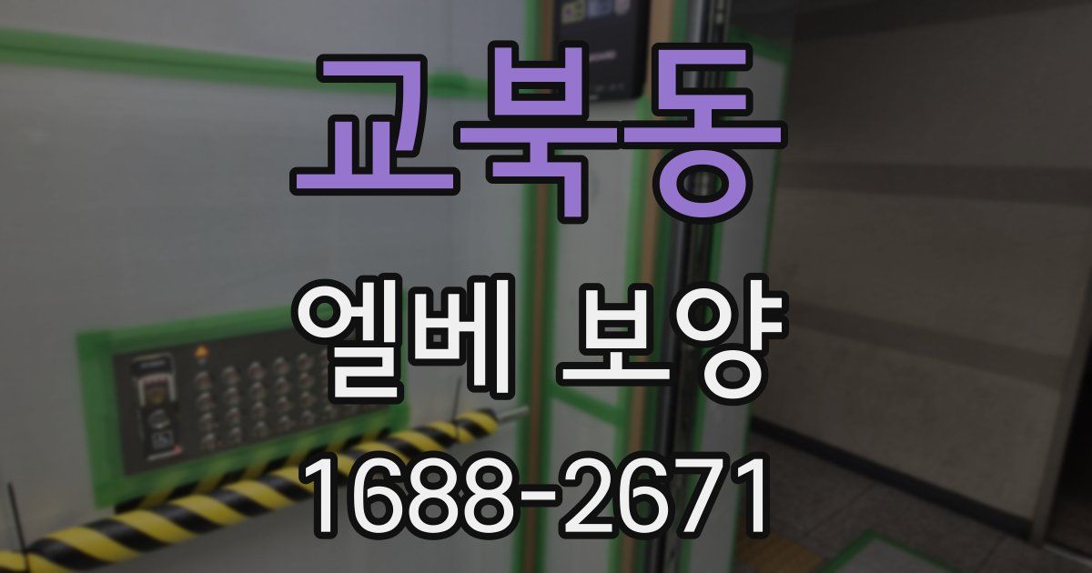 교북동 엘베 보양