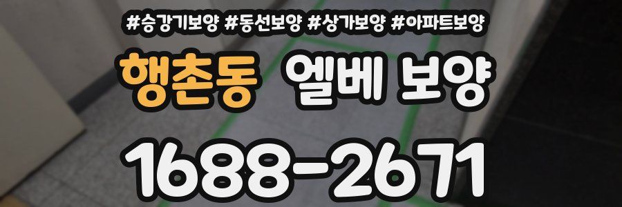 행촌동 엘베 보양
