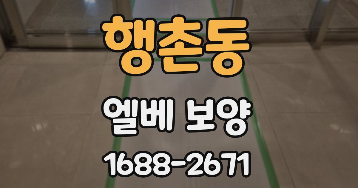 행촌동 엘베 보양