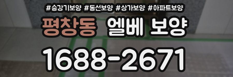 평창동 엘베 보양