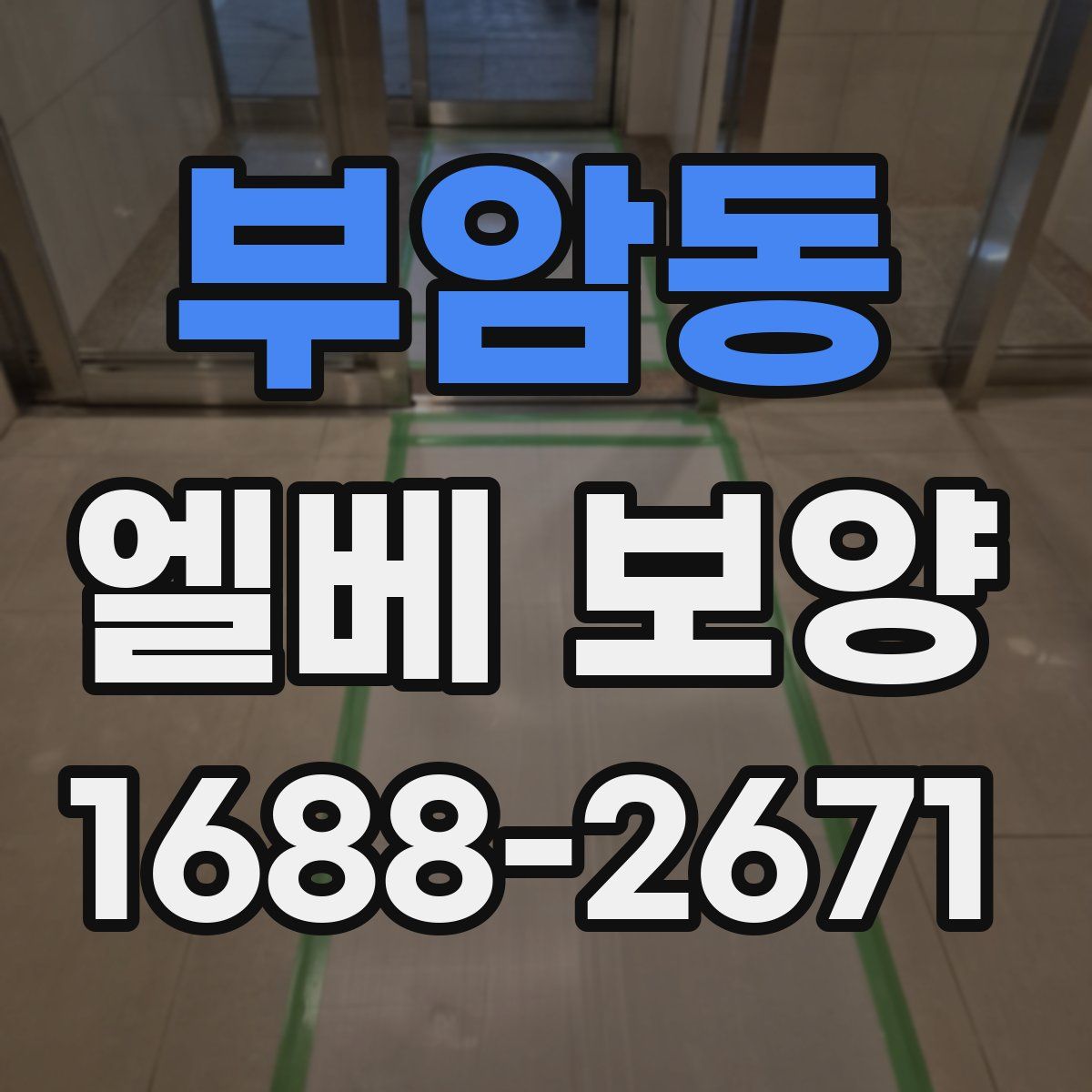부암동 엘베 보양