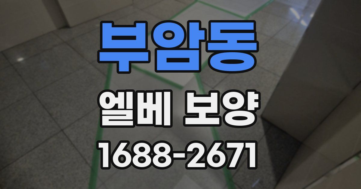 부암동 엘베 보양