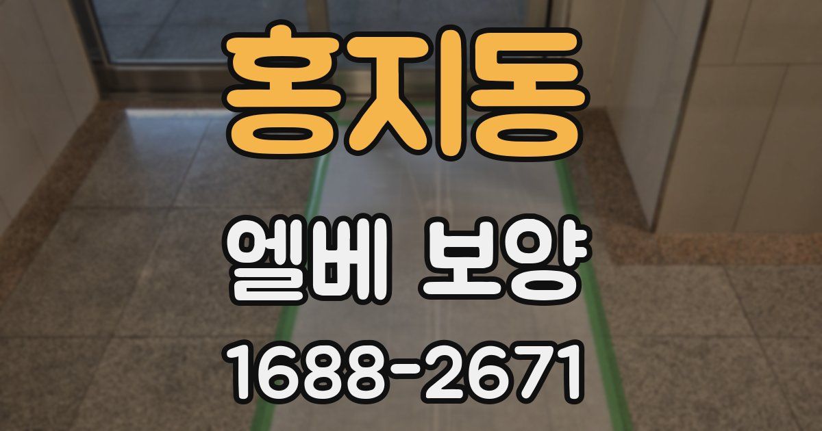 홍지동 엘베 보양