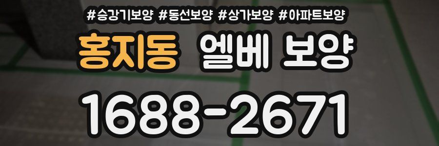 홍지동 엘베 보양