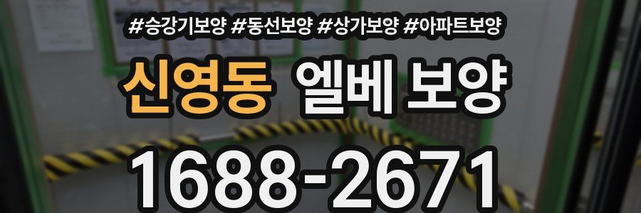 신영동 엘베 보양