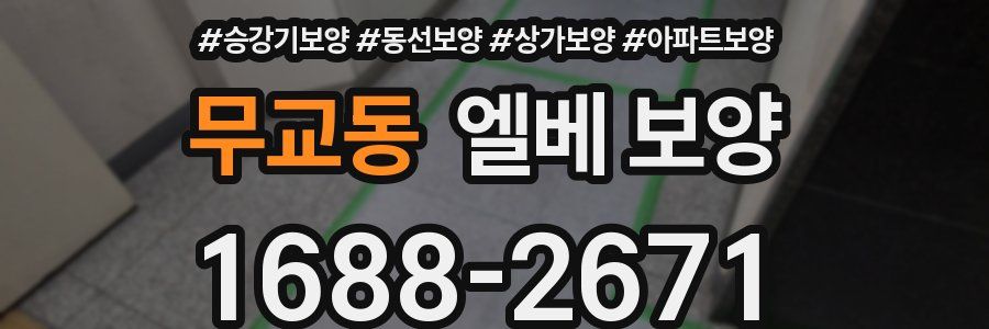 무교동 엘베 보양