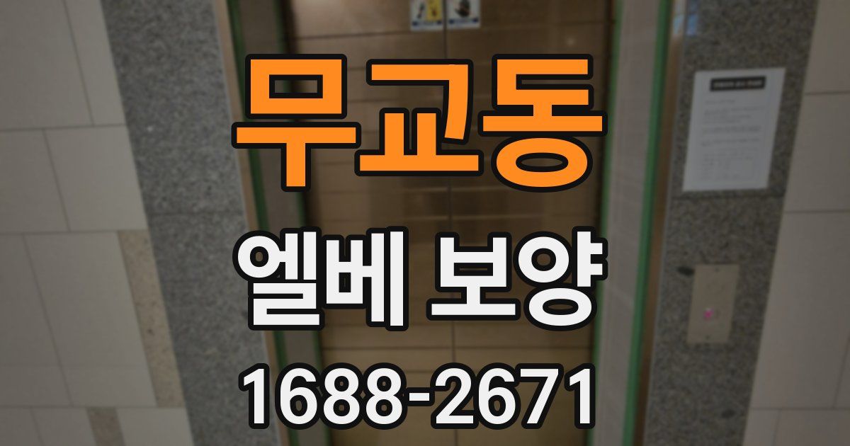 무교동 엘베 보양
