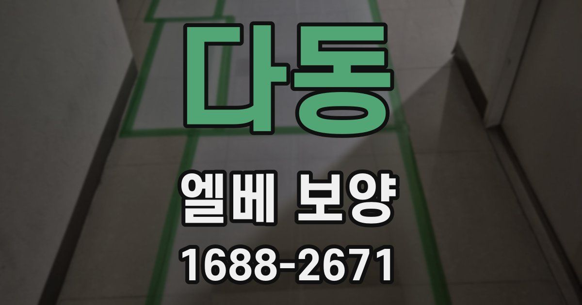 다동 엘베 보양