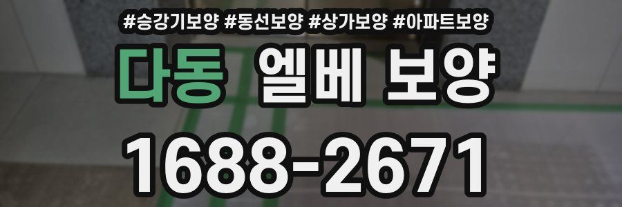 다동 엘베 보양