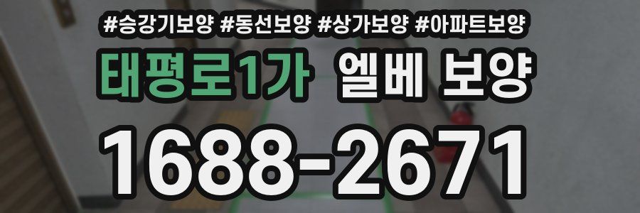 태평로1가 엘베 보양