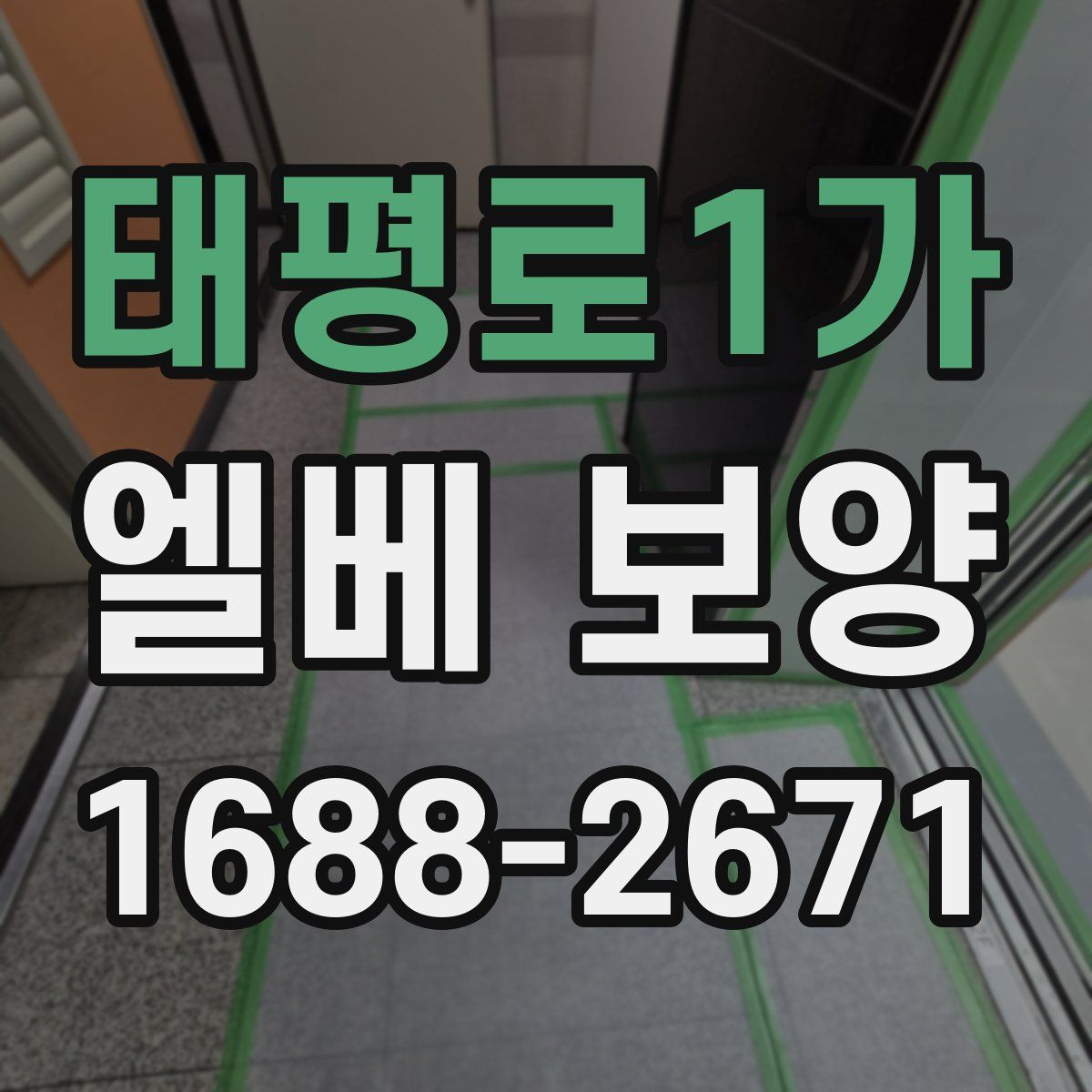 태평로1가 엘베 보양