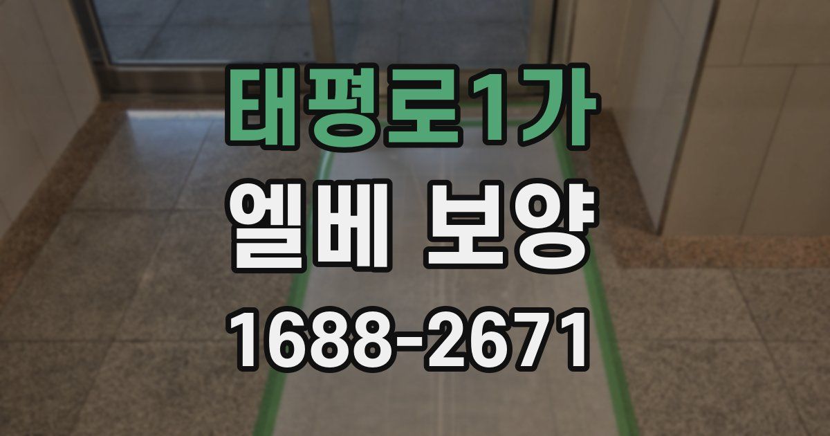 태평로1가 엘베 보양