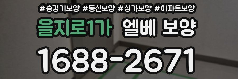을지로1가 엘베 보양