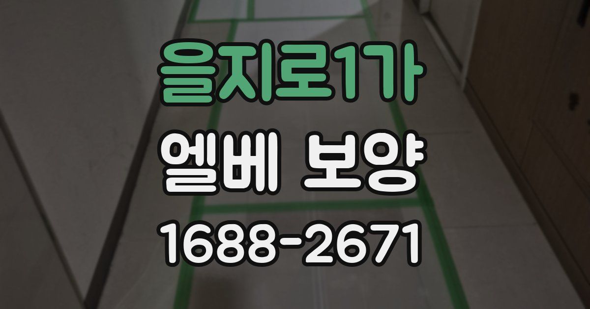 을지로1가 엘베 보양