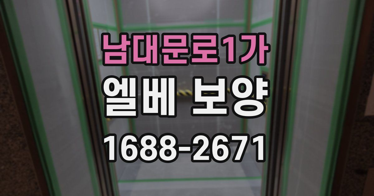 남대문로1가 엘베 보양