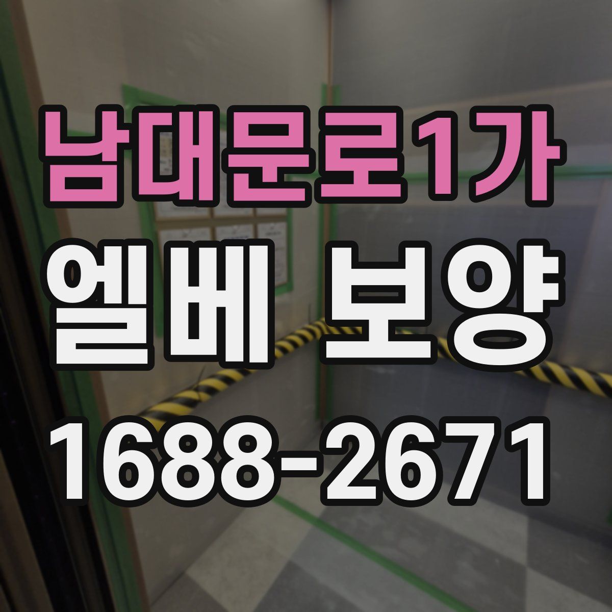 남대문로1가 엘베 보양
