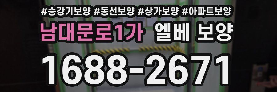 남대문로1가 엘베 보양