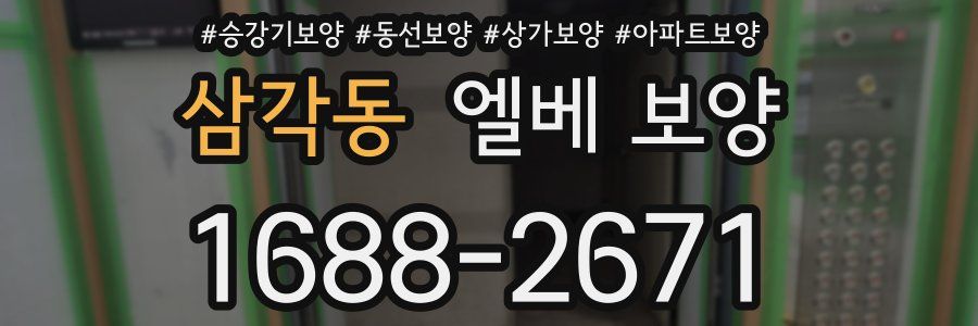 삼각동 엘베 보양
