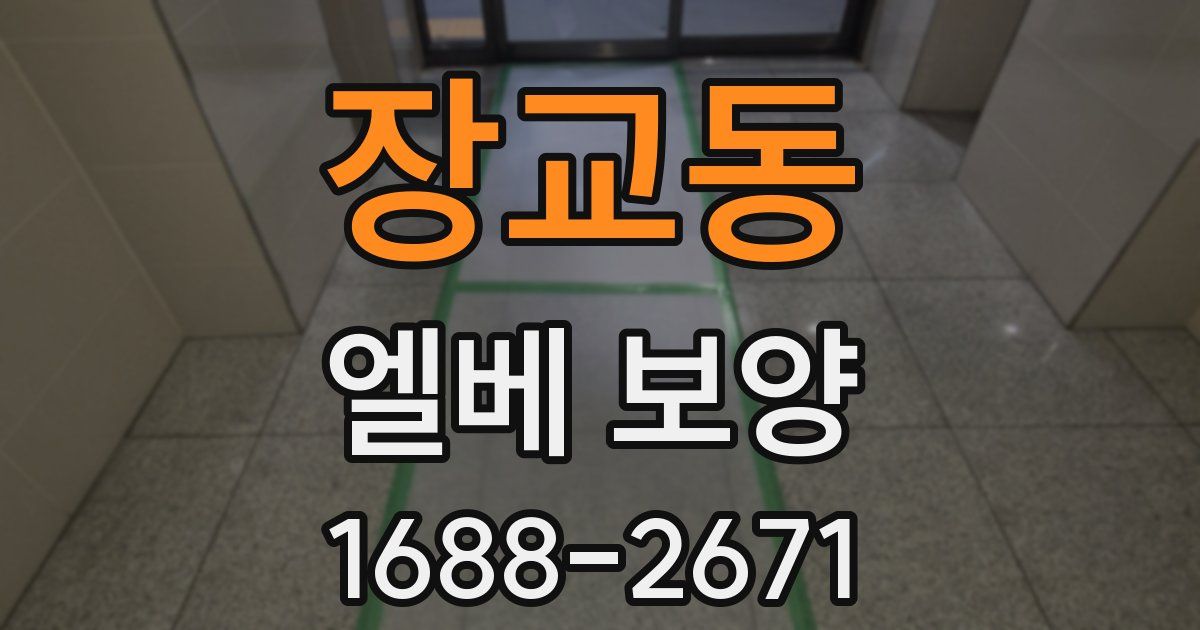 장교동 엘베 보양