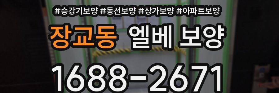 장교동 엘베 보양